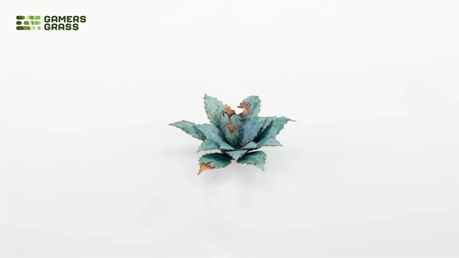 Gamers Grass | Laser Plants | Blue Agave - Image 5
